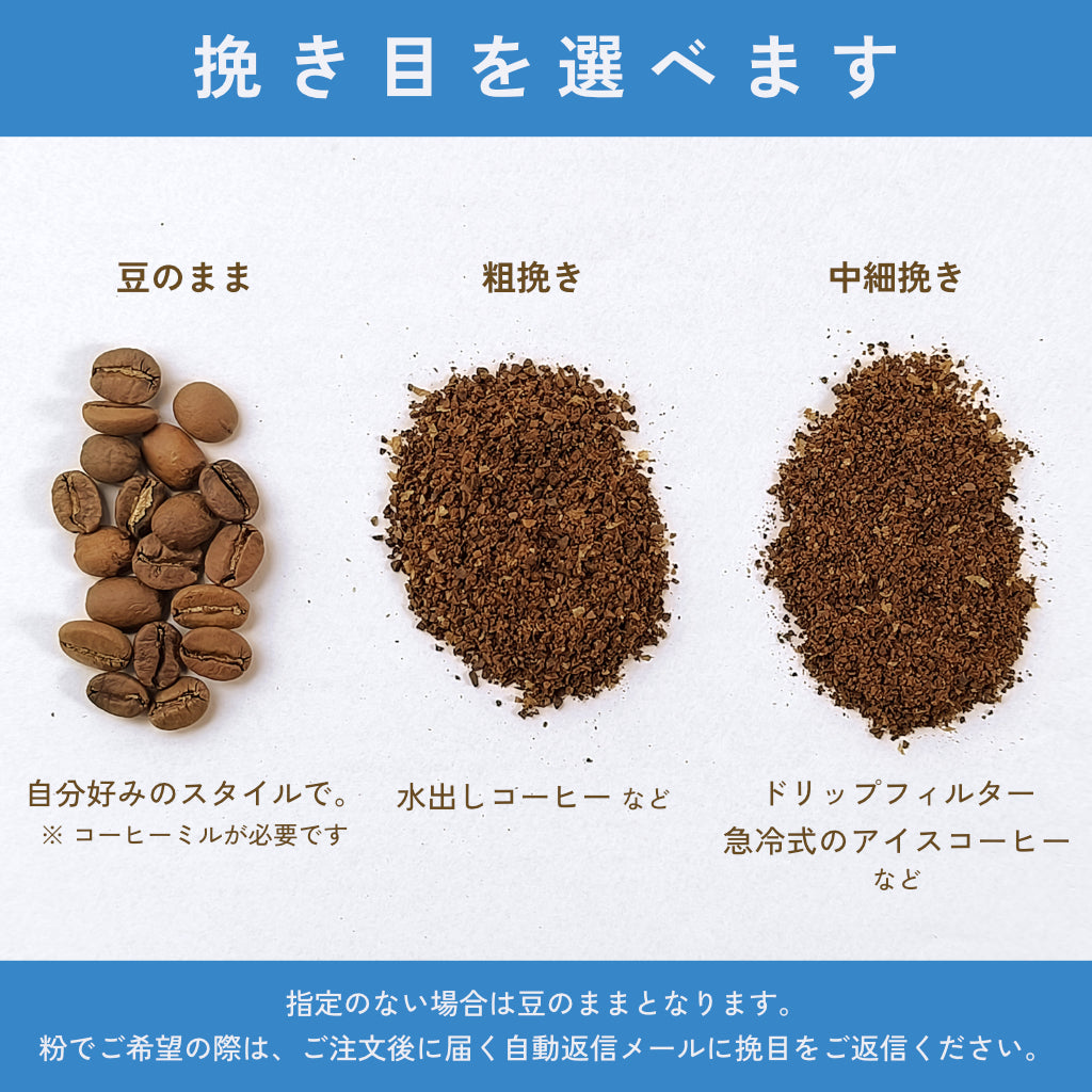 【数量限定】コロンビア ウィラ ラス フローレス|豆 160g